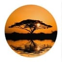 Poster Afrika - Rund
