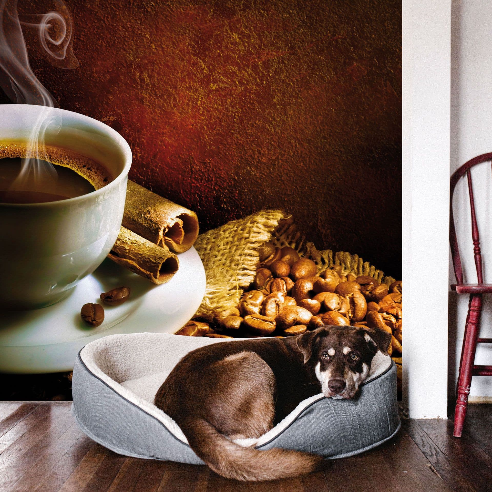 Kaffe 1 Fototapet - 288x260 cm