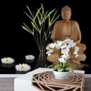 Fototapet Zen Buddha - 240x260 cm