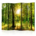 Paravent Raumteiler -  Wald-Strahlen, 3-teilig