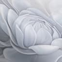 Tapet med blommotiv Big Pictures grå 2,50 x 2,70 m