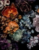 Fototapet med motiv mörkblommig blomsterbukett i svart med orkidéer 2,7 x 2,12 m