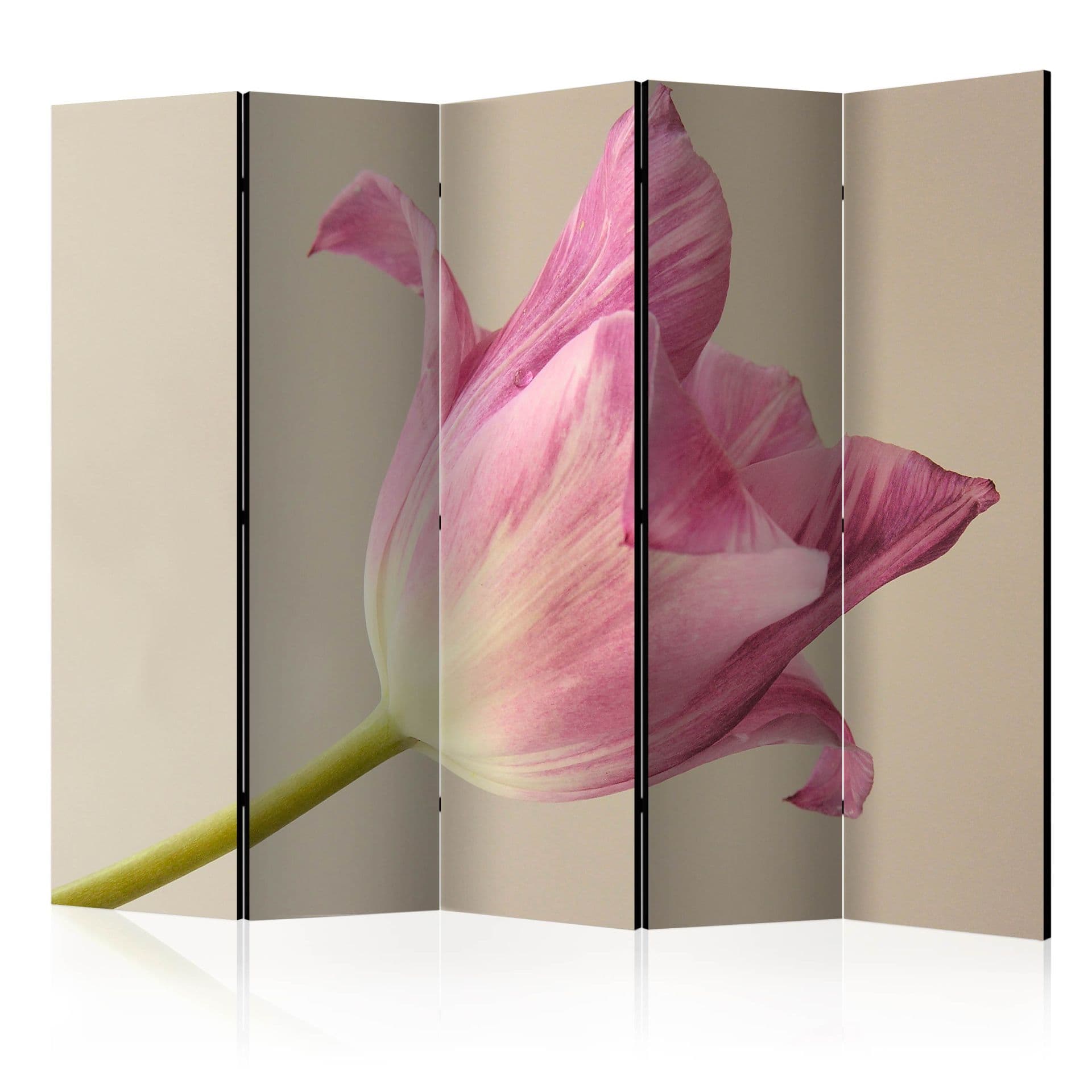 Paravent Raumteiler -  Rosa Orchidee , 5-teilig - 225x172 cm