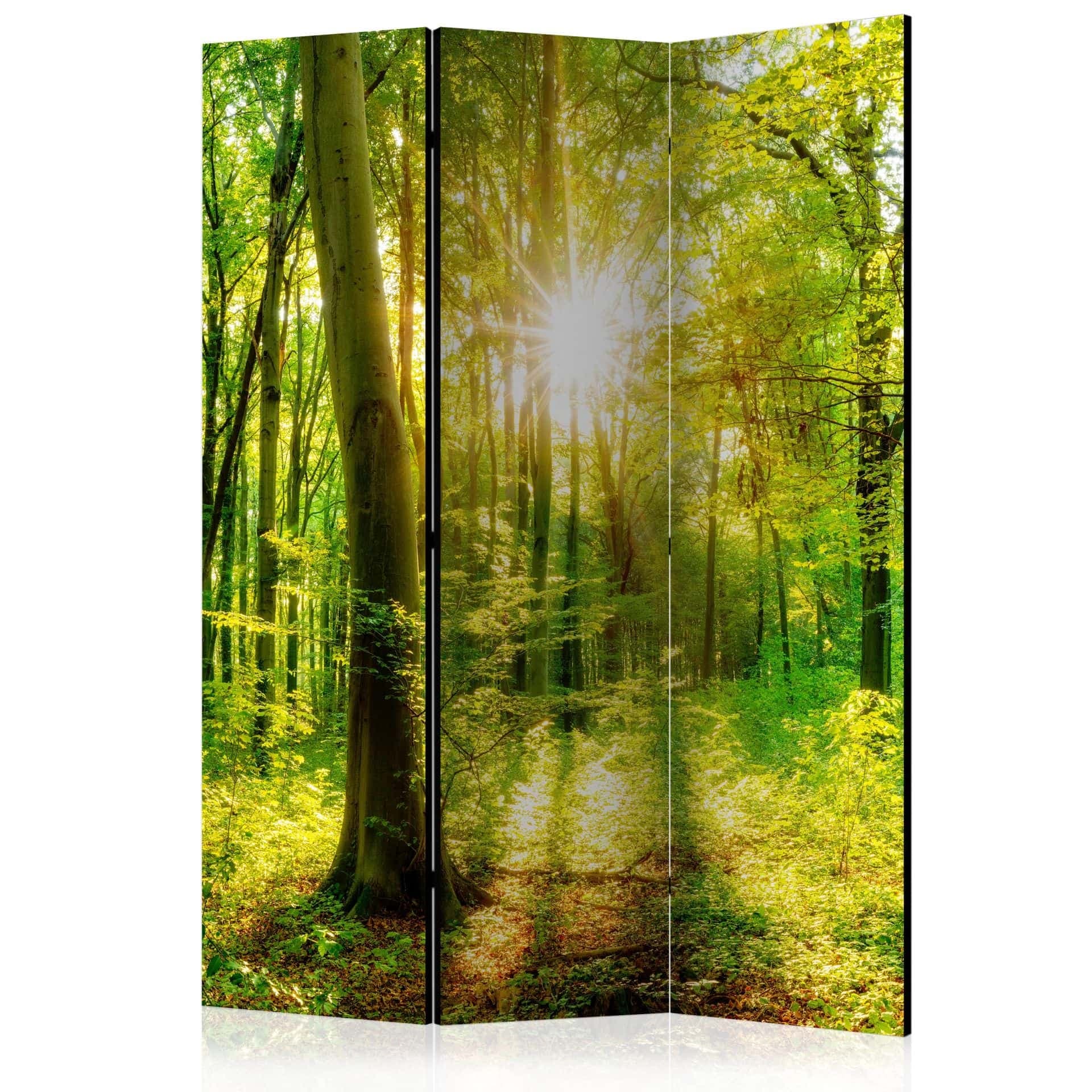 Paravent Raumteiler -  Wald-Strahlen, 3-teilig
