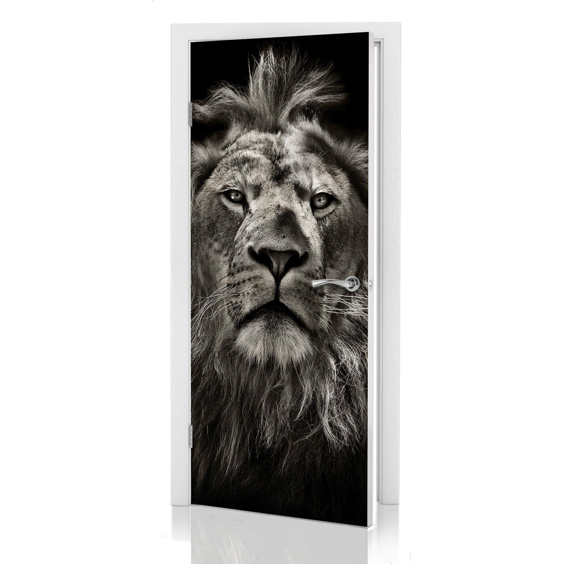 Dörrdesign Lion 91x200 cm