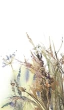 Fototapet blommor, blad blommig natur matt i vitt, grönt 2,70 x 1,59m