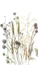 Fototapet blommor, blad blommig natur matt i vitt, beige 2,70 x 1,59m