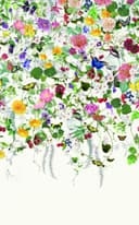Fototapet med motiv Färgglad blomsteräng med fjärilar och fåglar 3,4 x 2,12 m