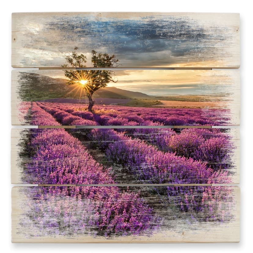 Trätavla lavendelblomma i Provence - 40x41,5 cm