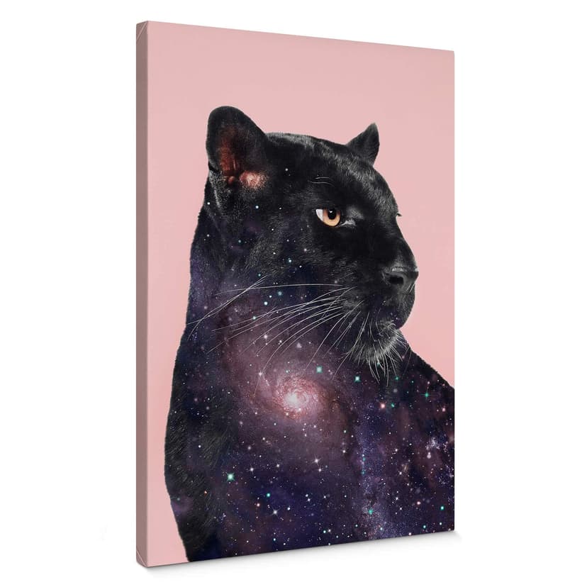 Canvastavla Lösa - Galaxy Panther