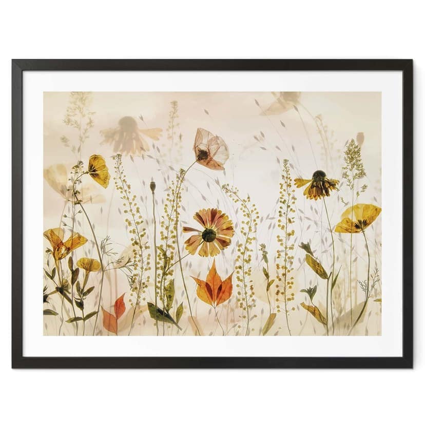 Poster Vilda ängsblommor i solljuset - Talen