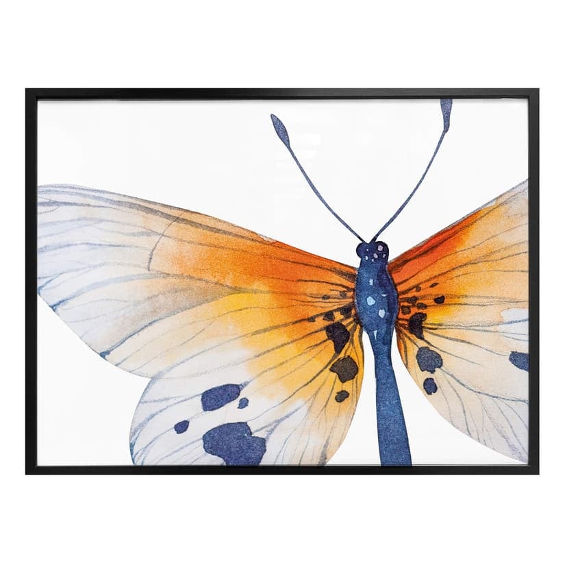 Poster Kvilis - Butterfly 02
