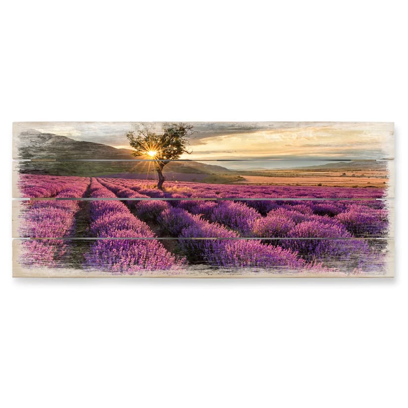 Trätavla Lavendelblomning i Provence 01 - Panorama