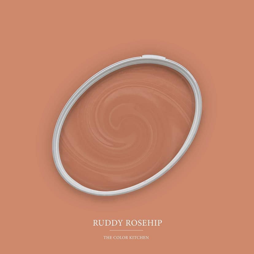 Orange Väggfärg sidenmatt I Ruddy Rosehip | energiskt inspirerande | THE COLOR KITCHEN