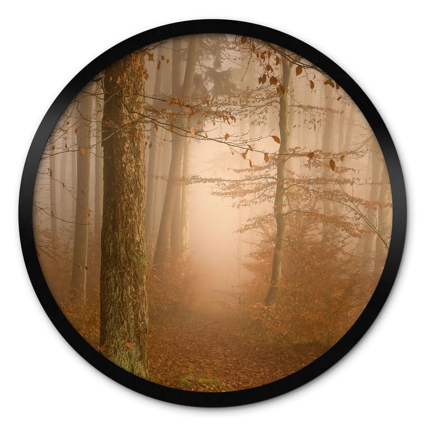 Poster dimma och ljus i höstskogen - Maier - Round