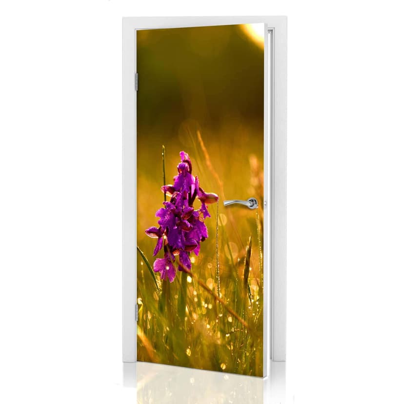 Dörrdesign Blommor i morgondaggen 91x200 cm