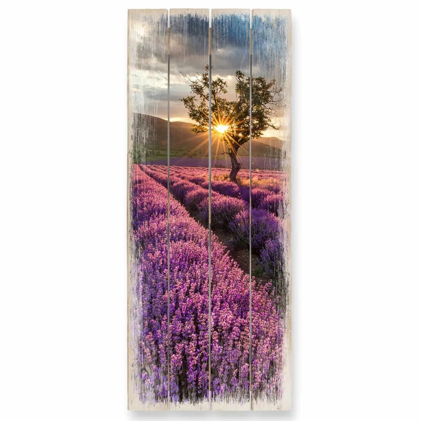 Trätavla lavendelblomning i Provence 02 - Panorama