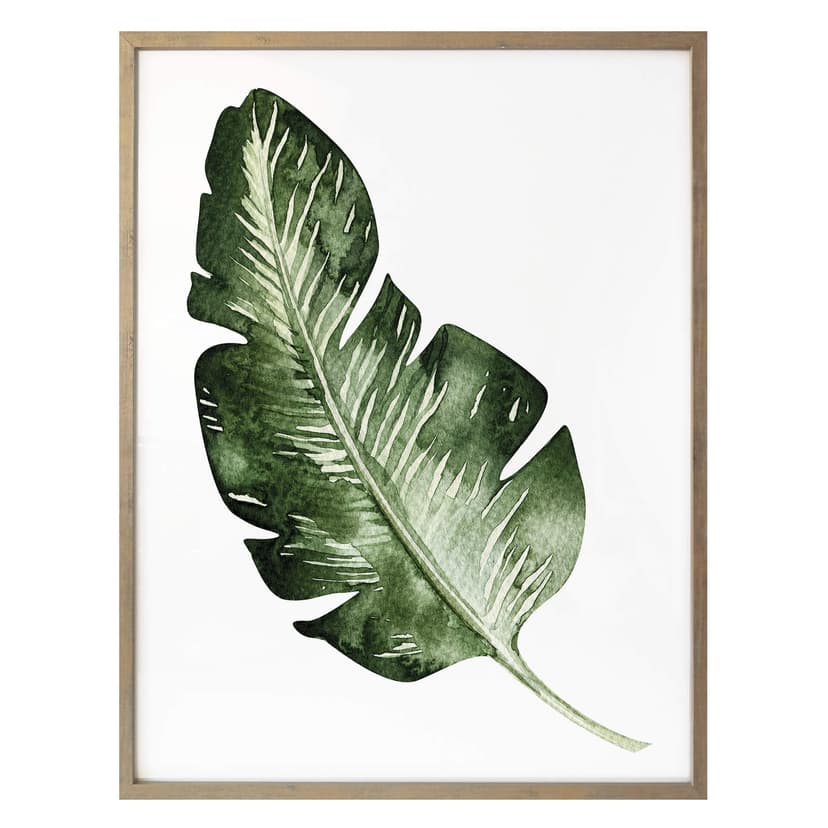 Poster Kvilis - Bananblad