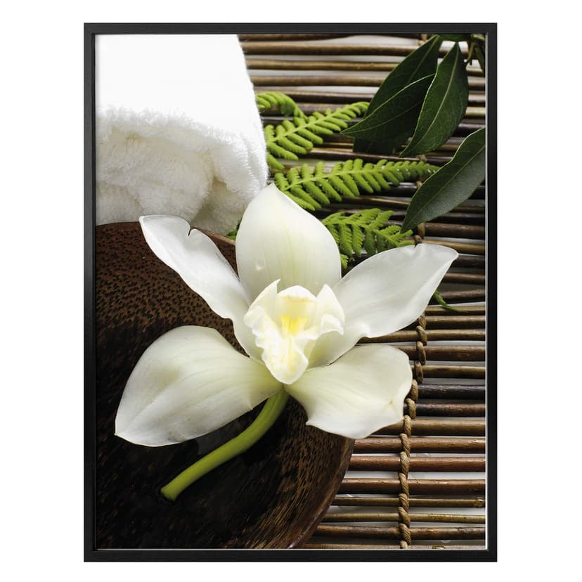 Poster Wellness Orchid