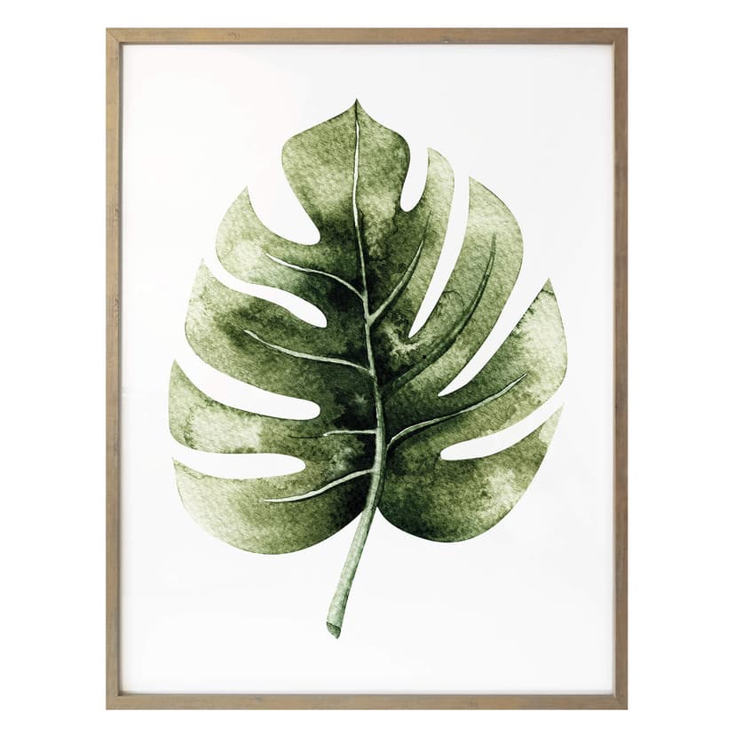 Poster Kvilis - Monstera blad
