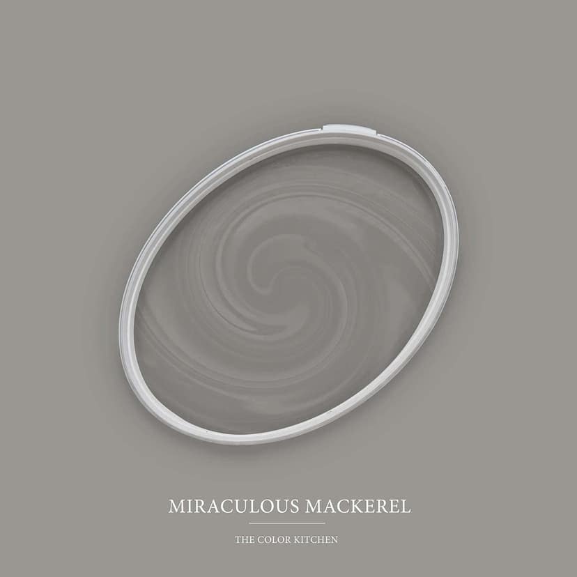 Grå Väggfärg satin matt I Miraculous Mackerel | skapa en elegant, modern atmosfär | THE COLOR KITCHEN
