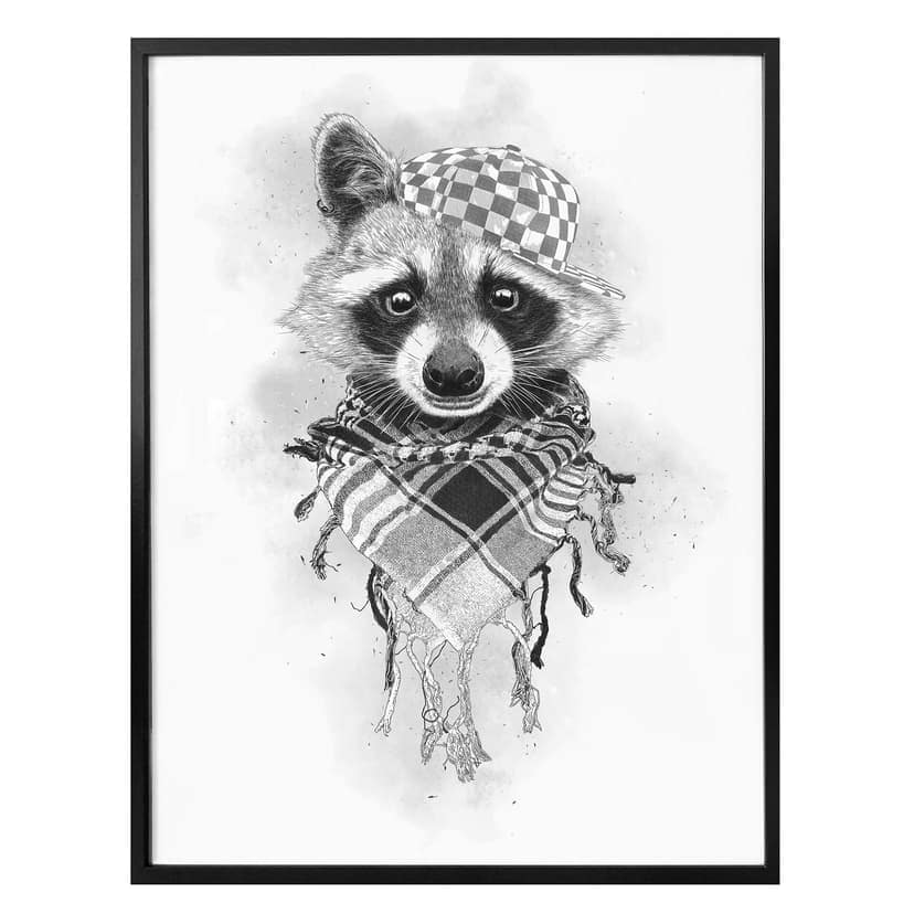 Poster Kools - Rocco Raccoon
