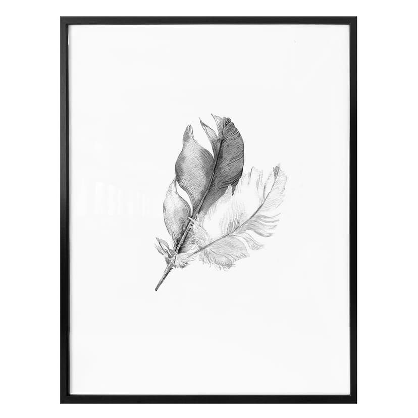 Poster fjädrar