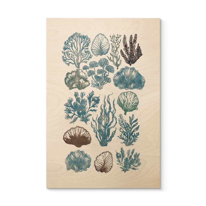 Träposter Filigran alger och snäckor - casa cartissi