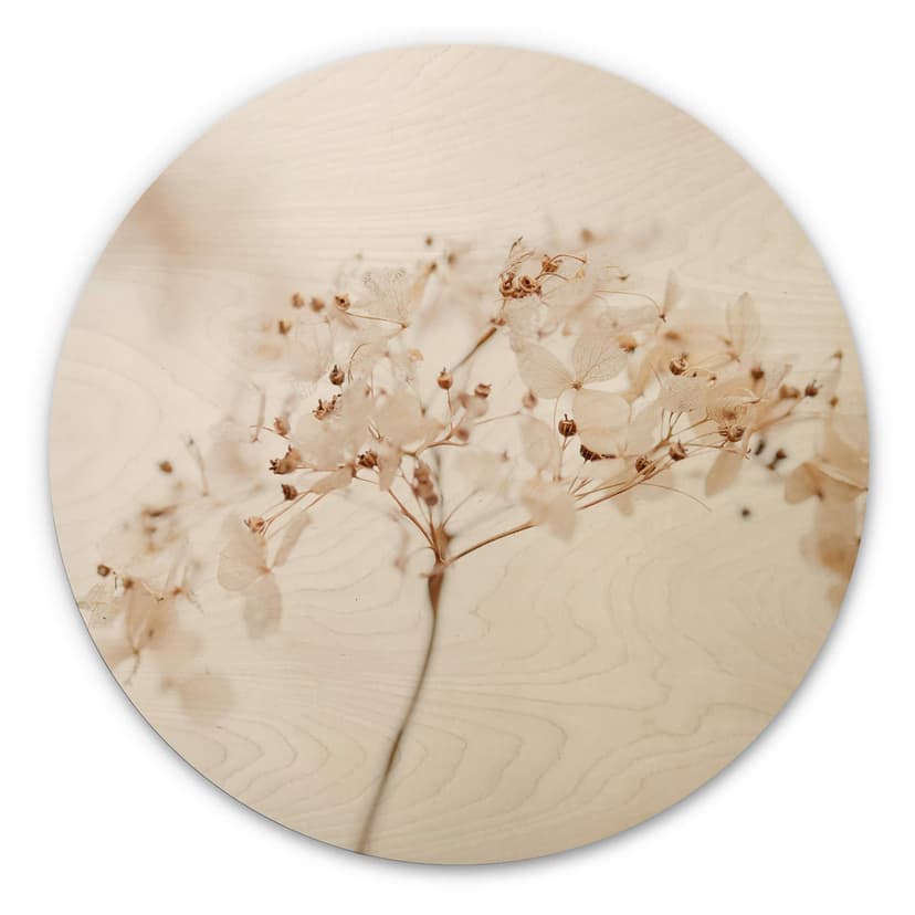Trätavla 1X Studio - Gren med skira blommor - Rund